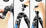 Leofoto Mr. Q LQ-284C with LH-30 Ball Head Carbon Fiber Tripod Kit