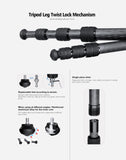 Leofoto SA-324C Carbon Fiber Tripod with MA-30L Rapid-Lock Ball Head, Arca and Picatinny Compatible