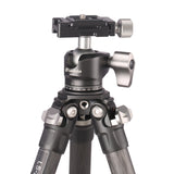 Leofoto LS-223C and LH25 Carbon Fiber Mini Tripod & 25mm Low Profile Ball Head Kit