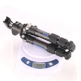 Leofoto LS-223C and LH25 Carbon Fiber Mini Tripod & 25mm Low Profile Ball Head Kit