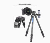 Leofoto LS-224C+LH-25 ranger carbon fiber tripod with ballhead travel lightweight