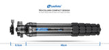 Leofoto LS-325C with LH-40 Head  Ranger Series Tripod Kit
