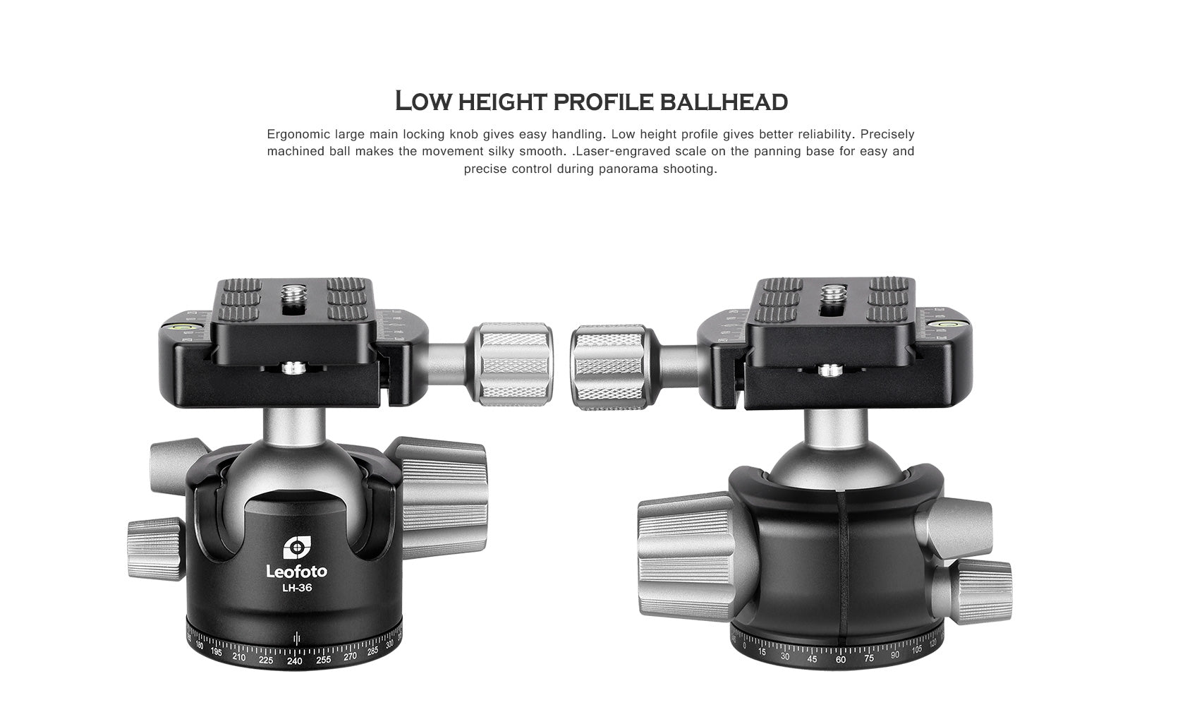 Leofoto LS-285C with LH-36 Head  Ranger Series Tripod Kit