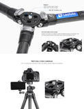 Leofoto LS-285C with LH-36 Head  Ranger Series Tripod Kit