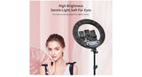 Jinbei LR-480C LED Ring Light with L-180 Light Stand (18") KIT