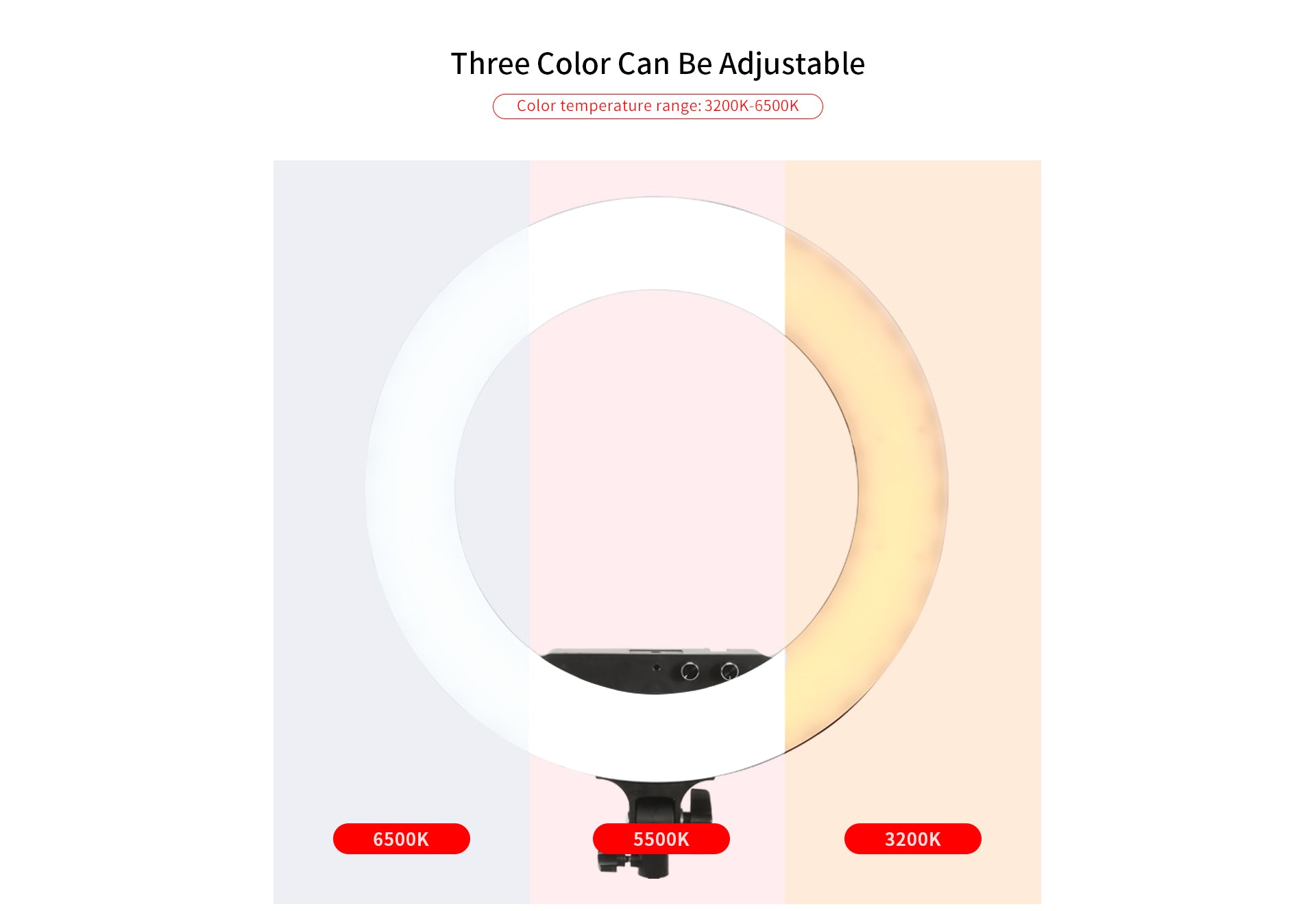 Jinbei LR-480C LED Ring Light with L-180 Light Stand (18") KIT