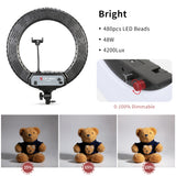 Jinbei LR-480C LED Ring Light with L-180 Light Stand (18") KIT