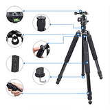 JUSINO TK-255 Aluminium Tripod With BT-02 Ballhead Kit With Monopod