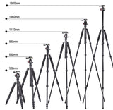 JUSINO TK-255 Aluminium Tripod With BT-02 Ballhead Kit With Monopod