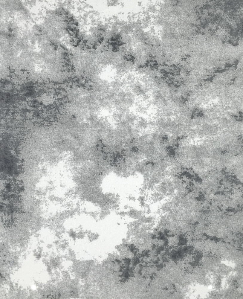 Digital Print Muslin Backdrop 10'X20' Y870