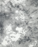 Digital Print Muslin Backdrop 10'X20' Y870