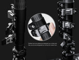 Leofoto MV-324CL + VD-03 Carbon Fiber Monopod Kit