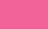 Seamless Background Paper 53" x 36ft Hot Pink/ Tulip 163-53