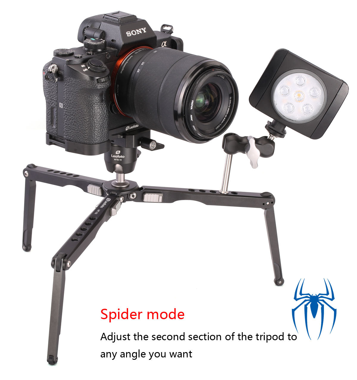 Leofoto MT-03 + LH25 Spider Mini Table Top Pocket Tripod Tripod and Ballhead Kit